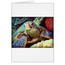GREEN SEA TURTLE HAWAII CARDS