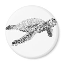 Green Sea Turtle Refrigerator Magnet