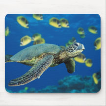 Green Sea Turtle Mouse Pads