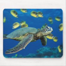 Green Sea Turtle Mouse Pads