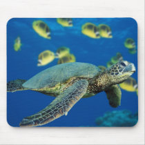 Green Sea Turtle mousepads