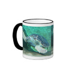 Green Sea Turtle Mug