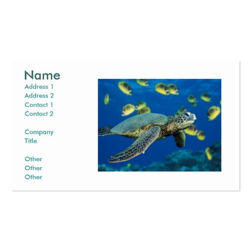 Green Sea Turtle, Name, Address 1, Address 2, C... Business Card Template (front side)