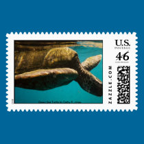 Green Sea Turtle postage