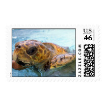Green sea turtle postage stamp