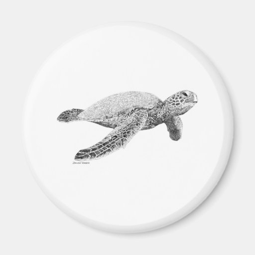 Green Sea Turtle Refrigerator Magnet