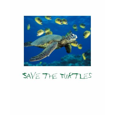 Green Sea Turtle, Save the Turtles T-shirts by Kims_Kreations