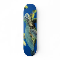 Green Sea Turtle skateboards by cjbuddy020699 Green Sea Turtle skateboards