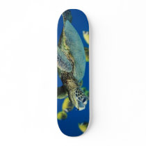 Green Sea Turtle skateboards by NostalgicPlight Green Sea Turtle skateboards