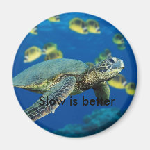Green Sea Turtle, Slow is better Magnets