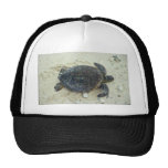 Green sea turtle trucker hats