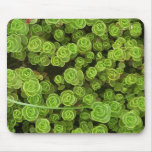 Green Sedum Mousepad 2 mousepads