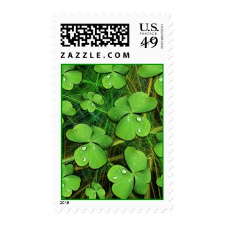 Green Shamrock St Patrick's Day Postage Stamp