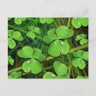 Green Shamrock St Patrick's Day Postcard