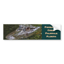 Green Shiny Gator bumper stickers