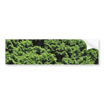 Green Shrubbery Bumper Sticker