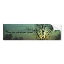 Green skies bumper stickers