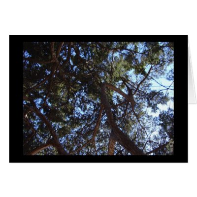 Green Skies Greeting Cards by drakequackers