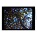 Green Skies cards