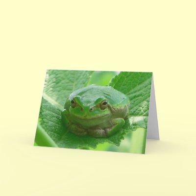 Green smiling Frog - close up Card by Rainmountain
