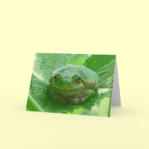 Green smiling Frog - Greeting card by Rainmountain Green smiling Frog - Greeting card