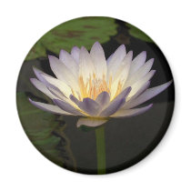 Green Smoke magnets by utopiaaquatic Green Smoke magnets