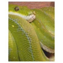 green snake letterhead