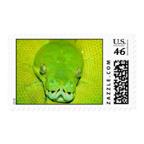 green snake postage by njsoleta green snake postage