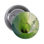 Green Snow white flowers Pins