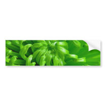Green Spider Mums Bumper Stickers