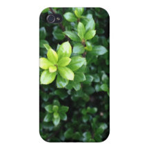 Green Sprout Case For iPhone 4