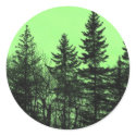 Green Spruce stickers by nmpics Green Spruce stickers