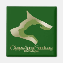Green Square Fridge Magnet