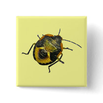 Green Stink Bug Nymph Coordinating Items Pins