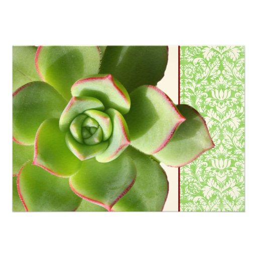 Green Succulent Vintage Wedding Invitation