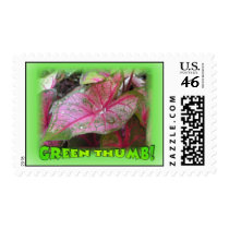 Green Thumb postage