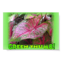 Green Thumb posters