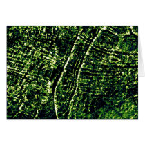 Green Tides cards
