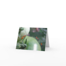 Green Tomatoes and Assassin Bugs - Note Card