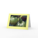 "Green Tomatoes" cards