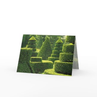 Green Topiary - Greeting Card card