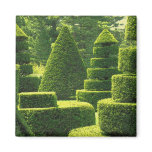 Green Topiary - Magnet #1