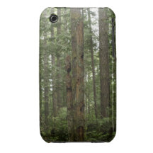 Green Totem Tree Forest Nature Scene iPhone 3 Case