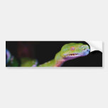 Green Tree Boa Stretching Bumper Sticker