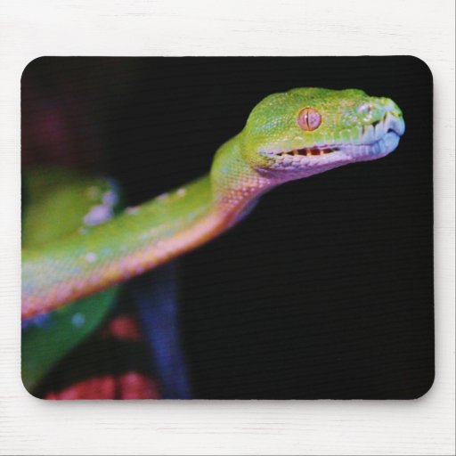 Green Tree Boa Stretching Mouse Pad