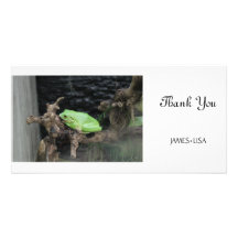 Green Tree Frog Custom Photo Card
