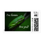 Green Tree Frog Ecology Stamp
