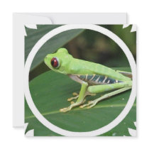 Green Tree Frog Invitation