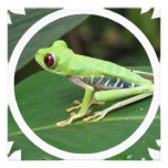 Green Tree Frog Invitation