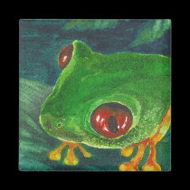 green tree frog magnets